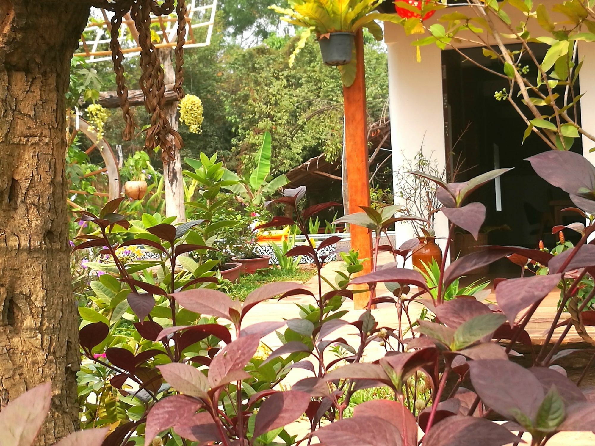 Angkor Dino B&B Siem Reap Exterior photo